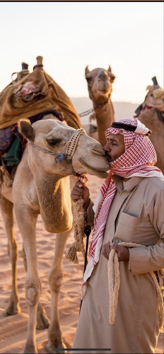 <a href="/Sahraachannel/">قناة الصحراء</a> الجواب 

نعم توفر 
❣️

🩶

🪄#مجلس_الصياهد 
🩶#صفوة_المهيدب 

💚🇸🇦

🩶
A
A
A

A
A
A
A
A
A
A