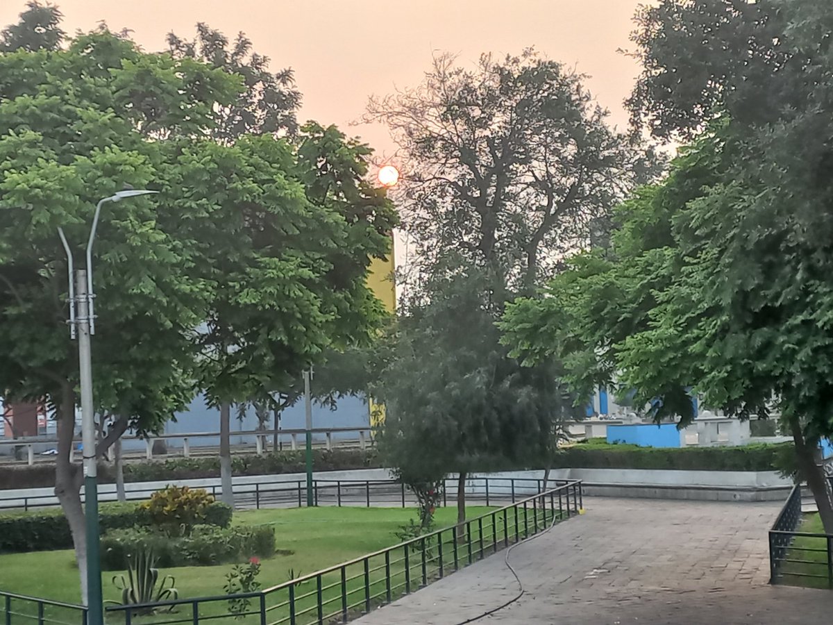 La Primera Salida del Sol, aaaaah que paz trae ver esto 🐦🌅🏞