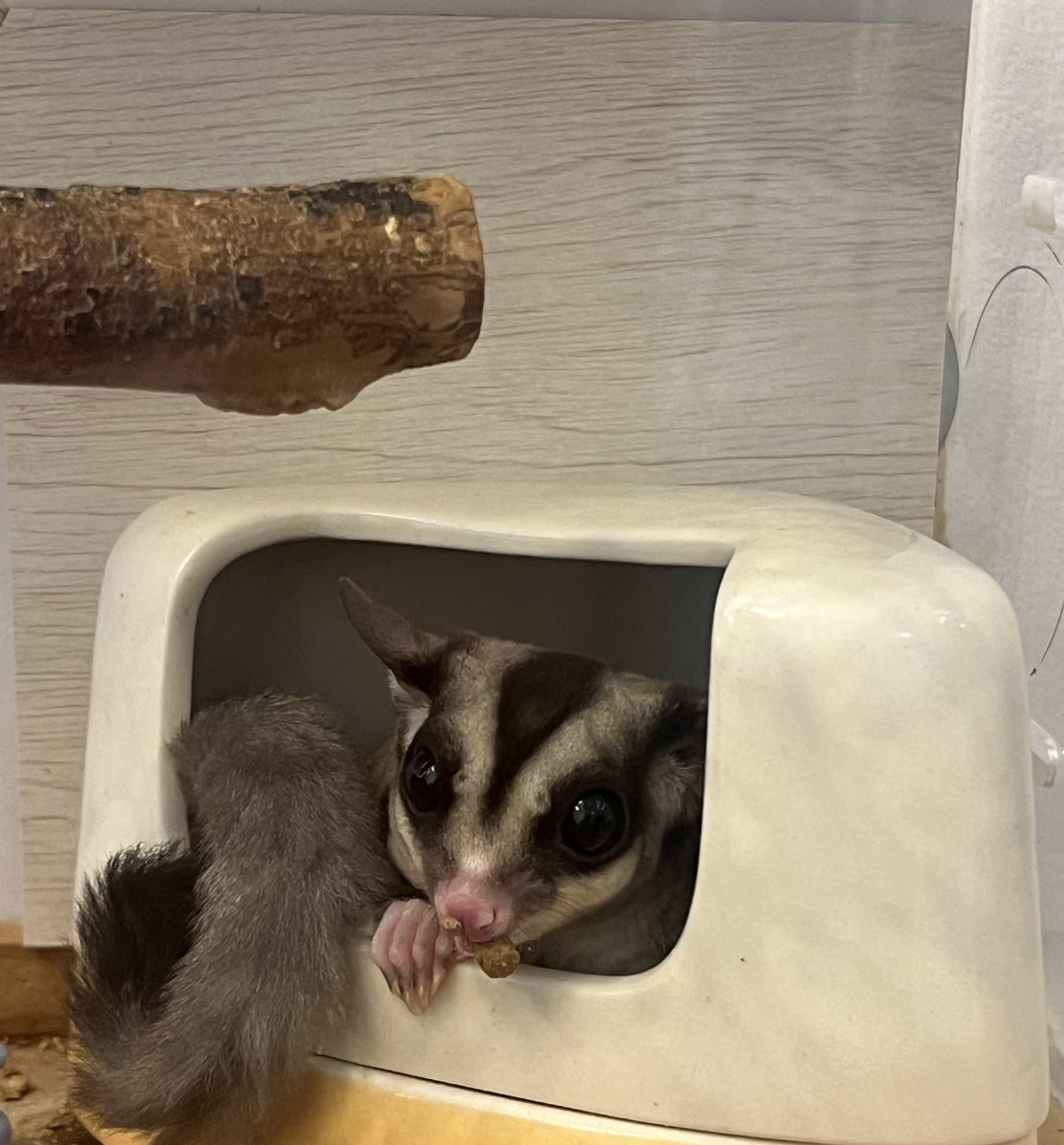 明けましておめでとう御座います！！
元旦から実家に帰ってお腹に入りきらないほど沢山食べました..!!
今年もよろしくお願いします😆