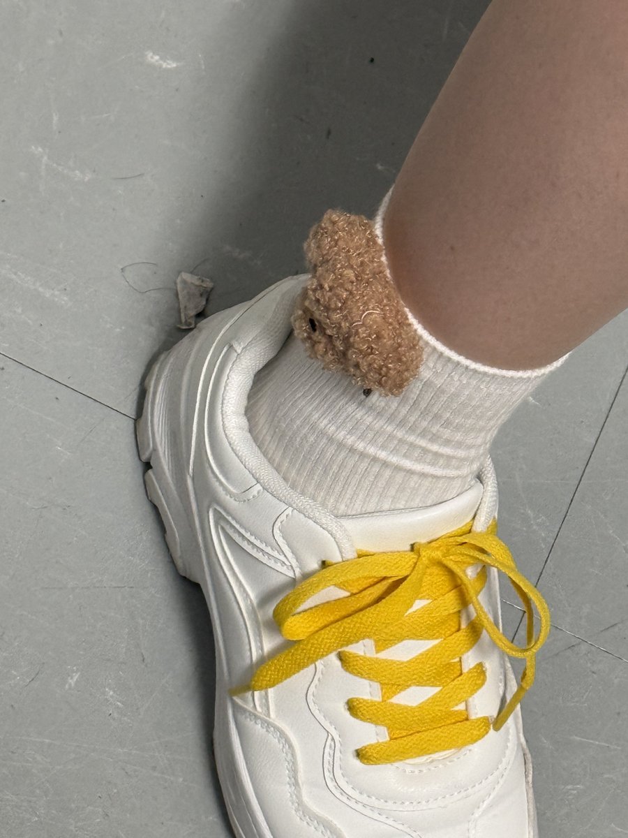 ∪・ω・)ﾜﾝｯ