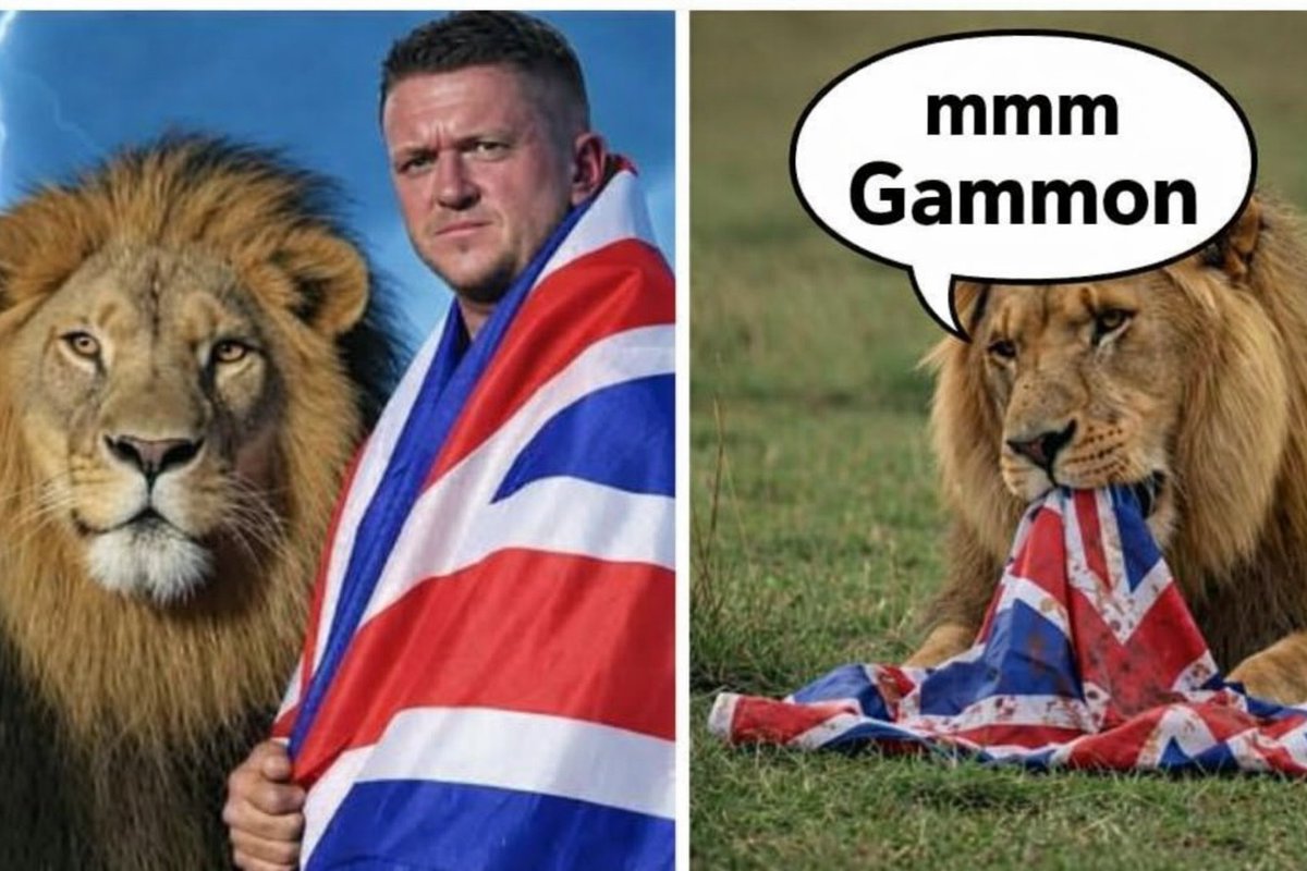 BotFinderUK's tweet image. Tommy Robinson