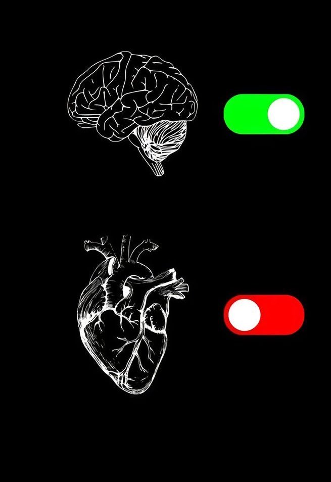 FILM_ART2's tweet image. 2026 :