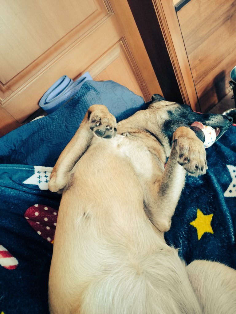 Прочитала я эту Анну Каренину,  удивилась,  что абсолютно все персонажи мне были неприятны.  Решила перечитать Войну и мир,  в детстве мне там многие герои нравились.