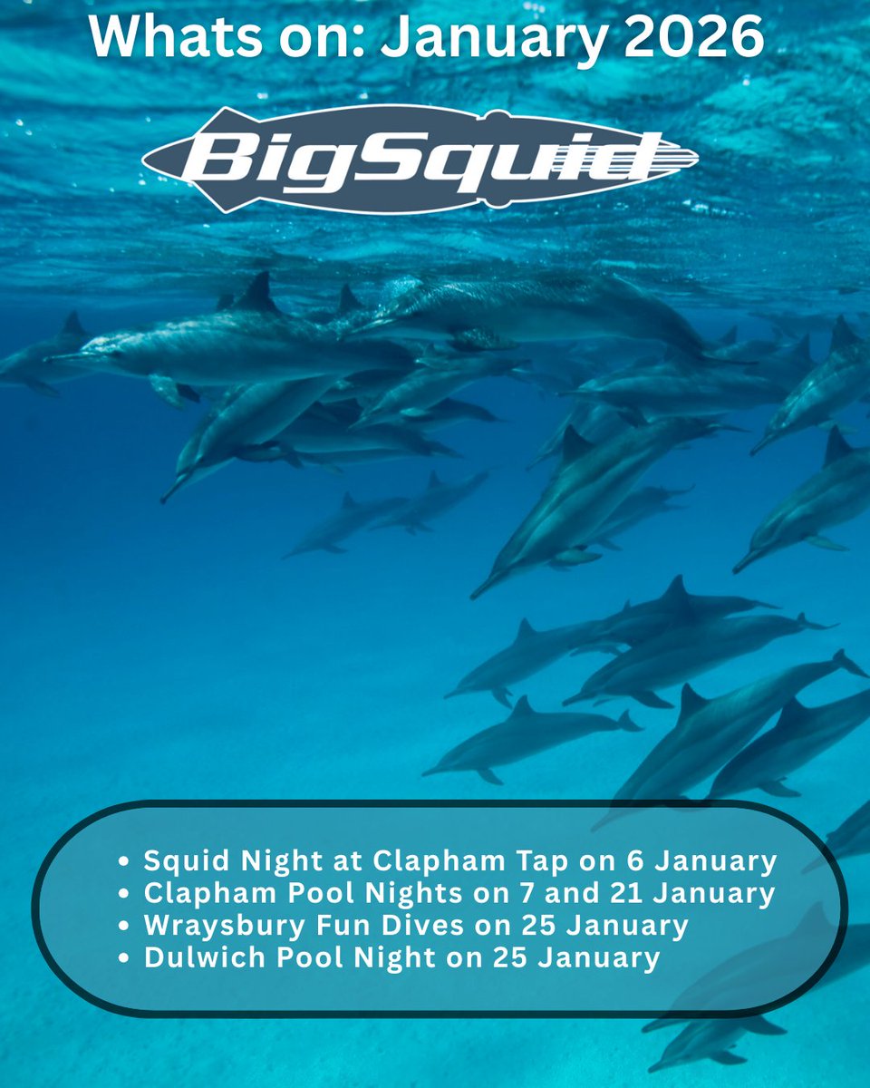 Big Squid (@bigsquiddiving) on Twitter photo 