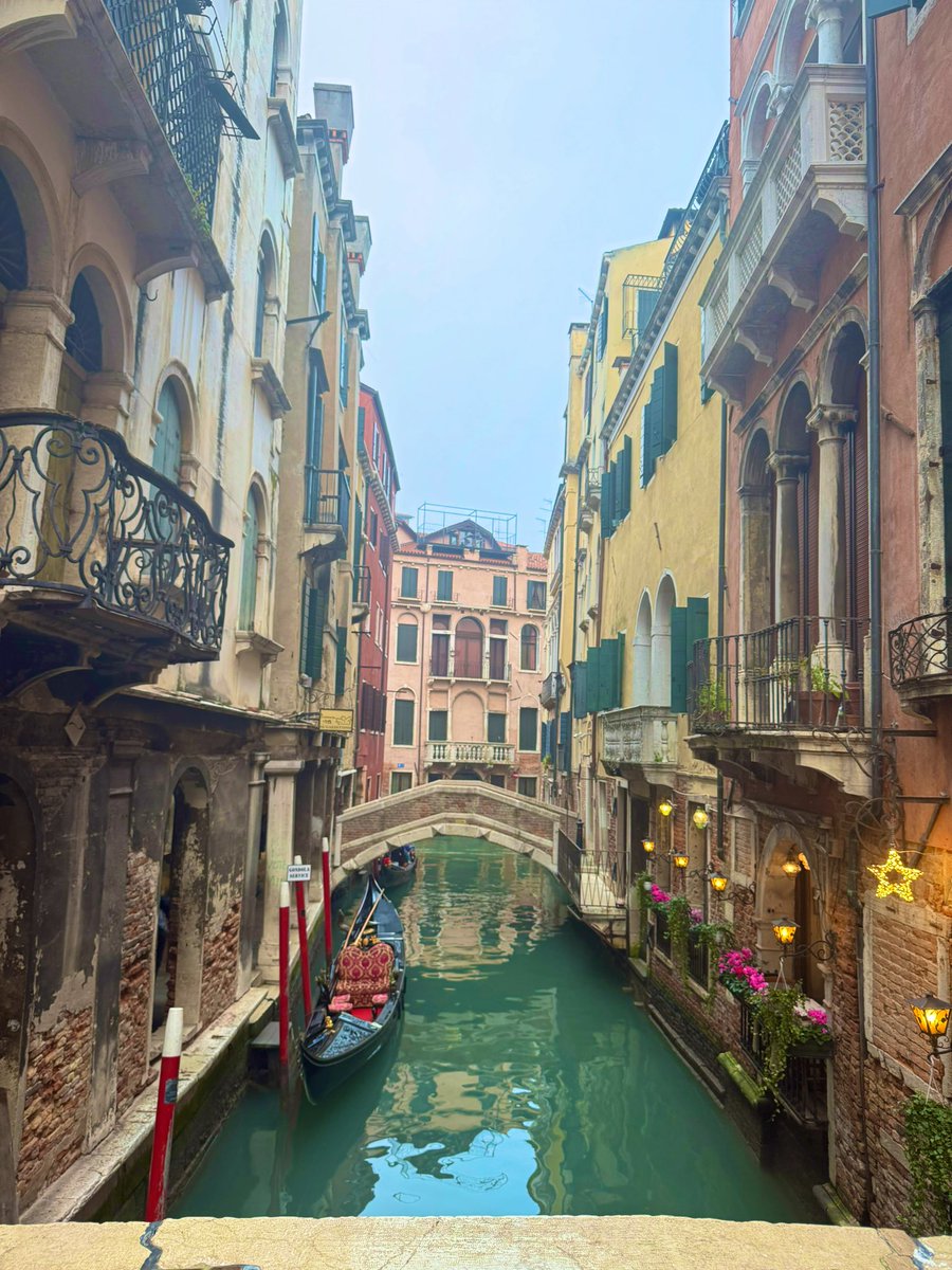 مشاعل الشمراني tweet media