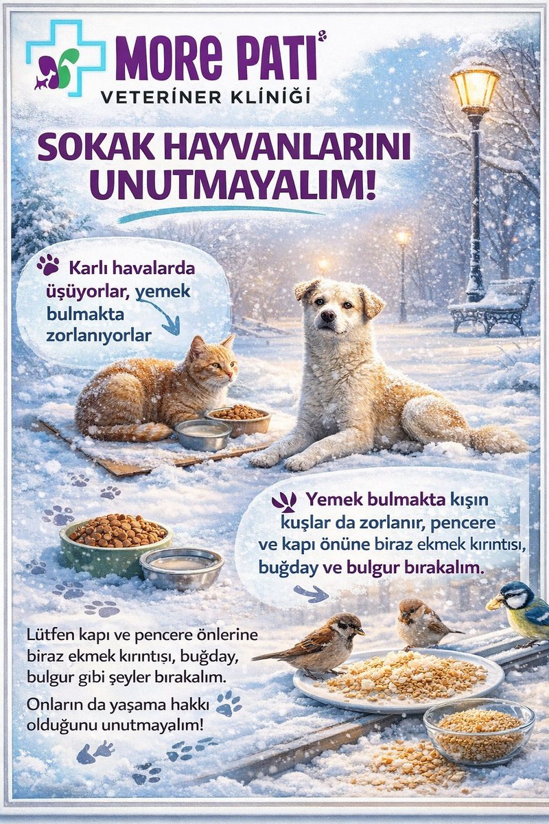 Karlı ve soğuk havalarda sokak hayvanları için hayat çok daha zor…
Üşüyorlar, yiyecek bulmakta zorlanıyorlar.
Sadece bir kap mama, biraz su;
kuşlar için pencere ya da kapı önüne bırakılan birkaç ekmek kırıntısı, buğday ya da bulgur
onların bir günü  atlatmasına vesile olabilir
