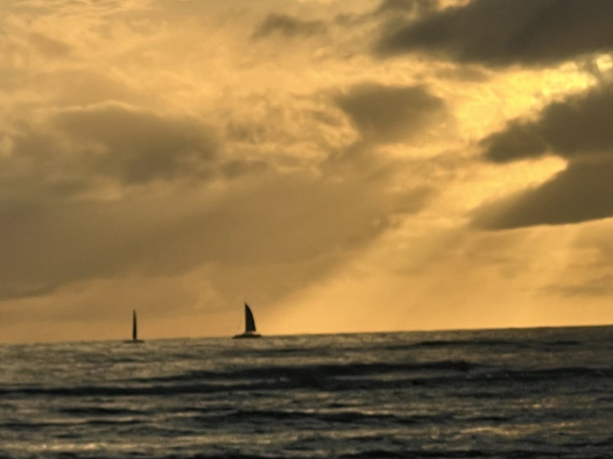 Shozeb Haider tweet media