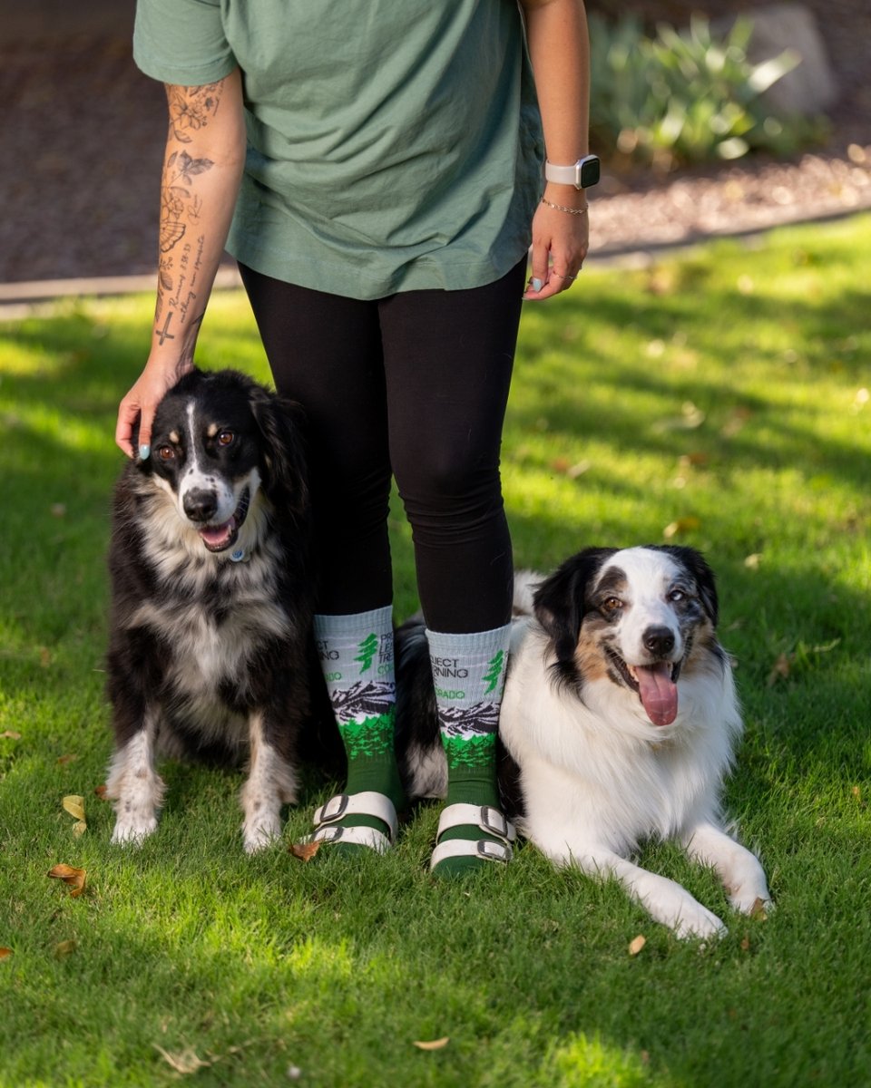 SockClub's tweet image. New Year, New Goals, New Socks 🧦✨

Whether you're:
🐕 Walking the pups more
📝 Journaling
🗂️ Getting organized
🏃‍♀️ Staying active

2026 is YOUR year. What's your resolution? 👇

#NewYear #2026Goals #Resolutions
