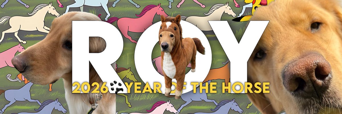 samkaner tweet media