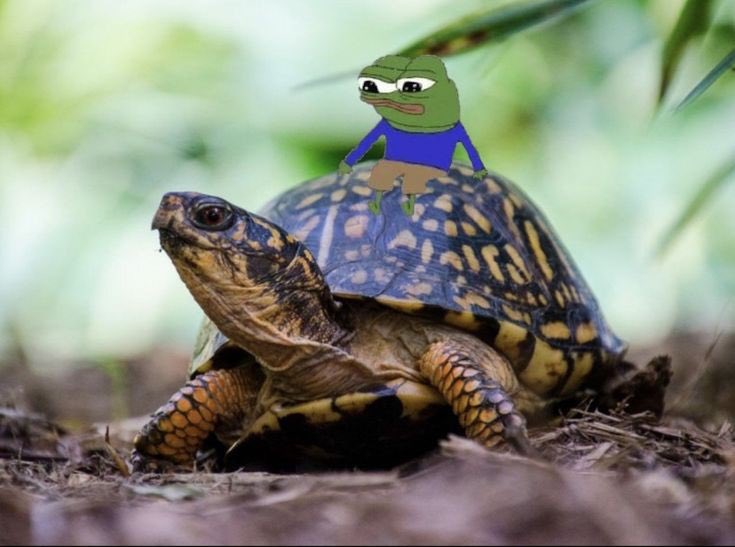 GrandMasterFren's tweet image. It’s 2026.

Lock in.