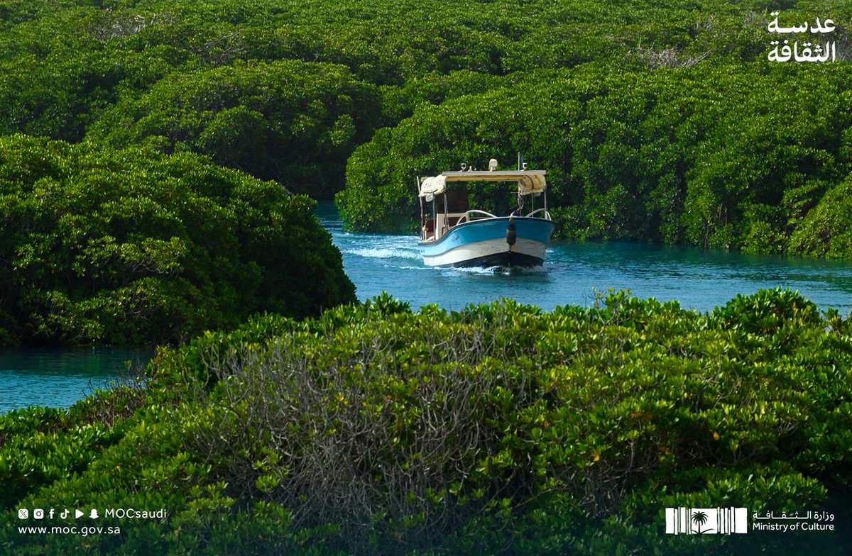 #عدسة_الثقافة 📸

جازان.. غنية بثرواتها، وثرية بثقافتها.

#وزارة_الثقافة