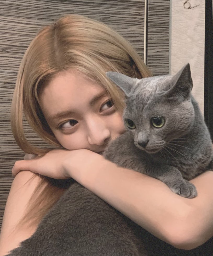 omottatoridaa's tweet photo. https://t.co/URAylj2PyO