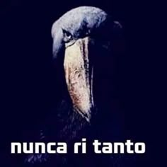 katreisss's tweet image. 