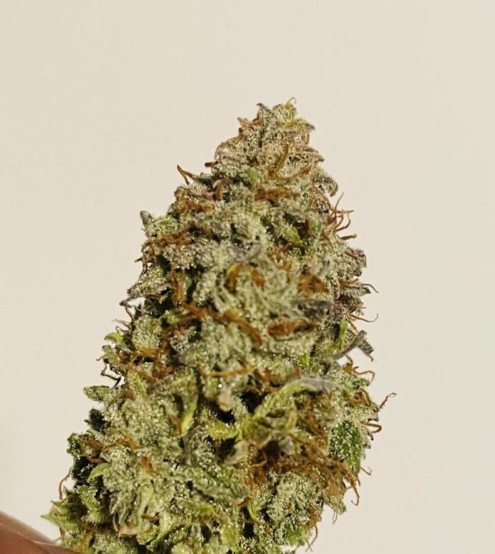 邦尼兔weed_420（大麻/電子煙） tweet media