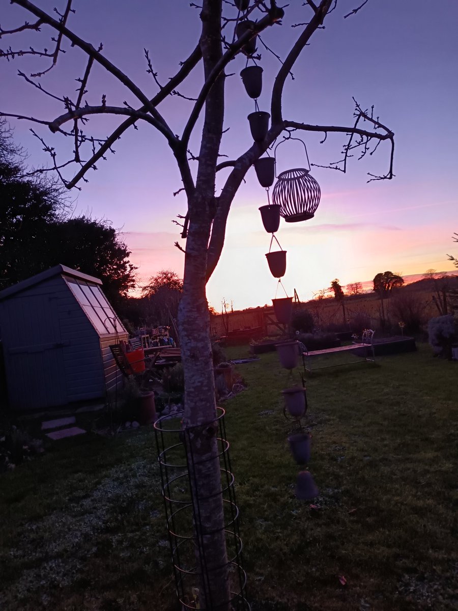 Rosemary Cottage Hook NGS tweet media