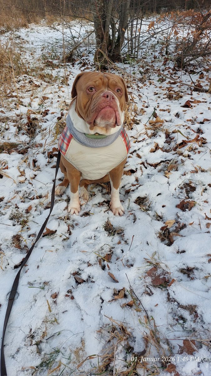 irisA201's tweet image. Wir sind so müde ... sind auch noch kurz bei Oma&amp;amp;Opa auf dem Rückweg vorbei  ... machen wir jetzt öfter 
#Demenz #Alt