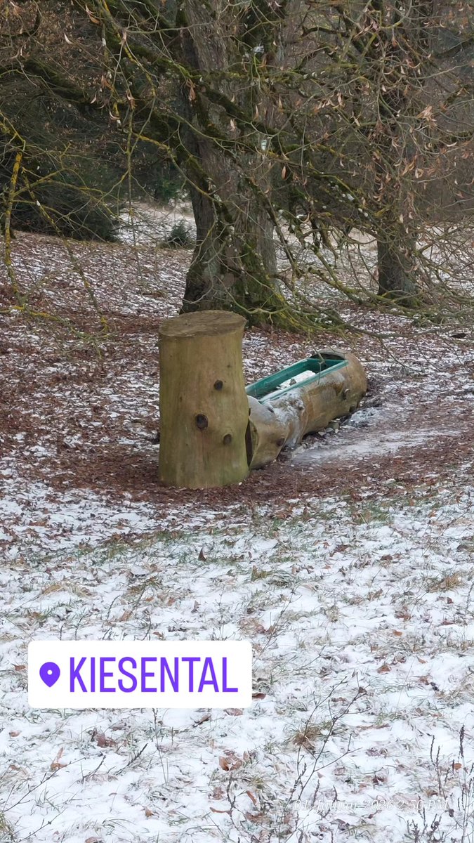 irisA201's tweet image. Wir sind so müde ... sind auch noch kurz bei Oma&amp;amp;Opa auf dem Rückweg vorbei  ... machen wir jetzt öfter 
#Demenz #Alt