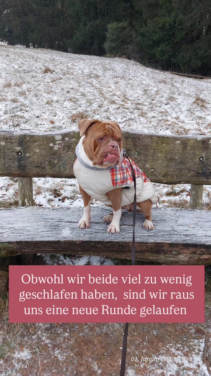 irisA201's tweet image. Wir sind so müde ... sind auch noch kurz bei Oma&amp;amp;Opa auf dem Rückweg vorbei  ... machen wir jetzt öfter 
#Demenz #Alt