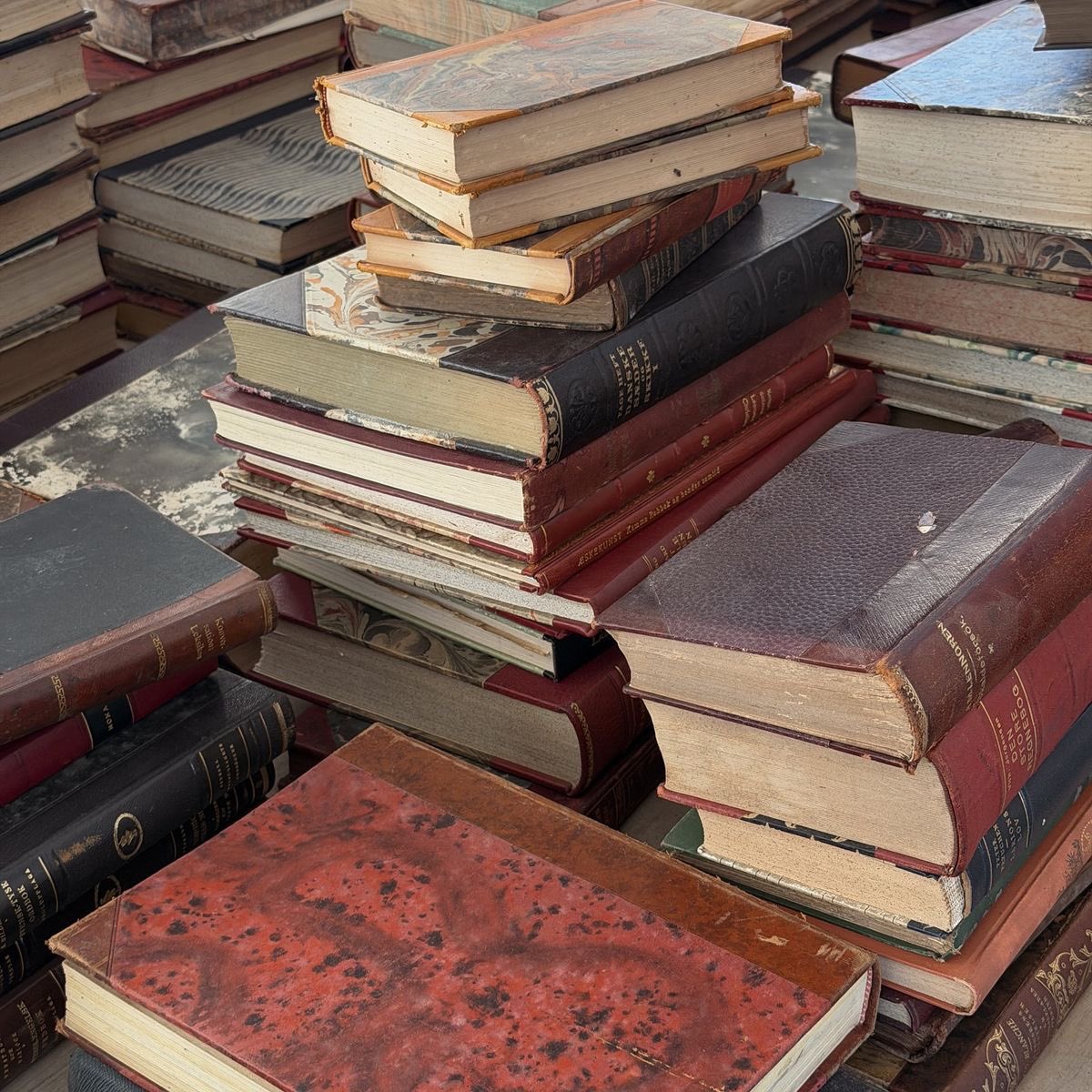 annie Ψ | jurídico rachel zegler tweet media