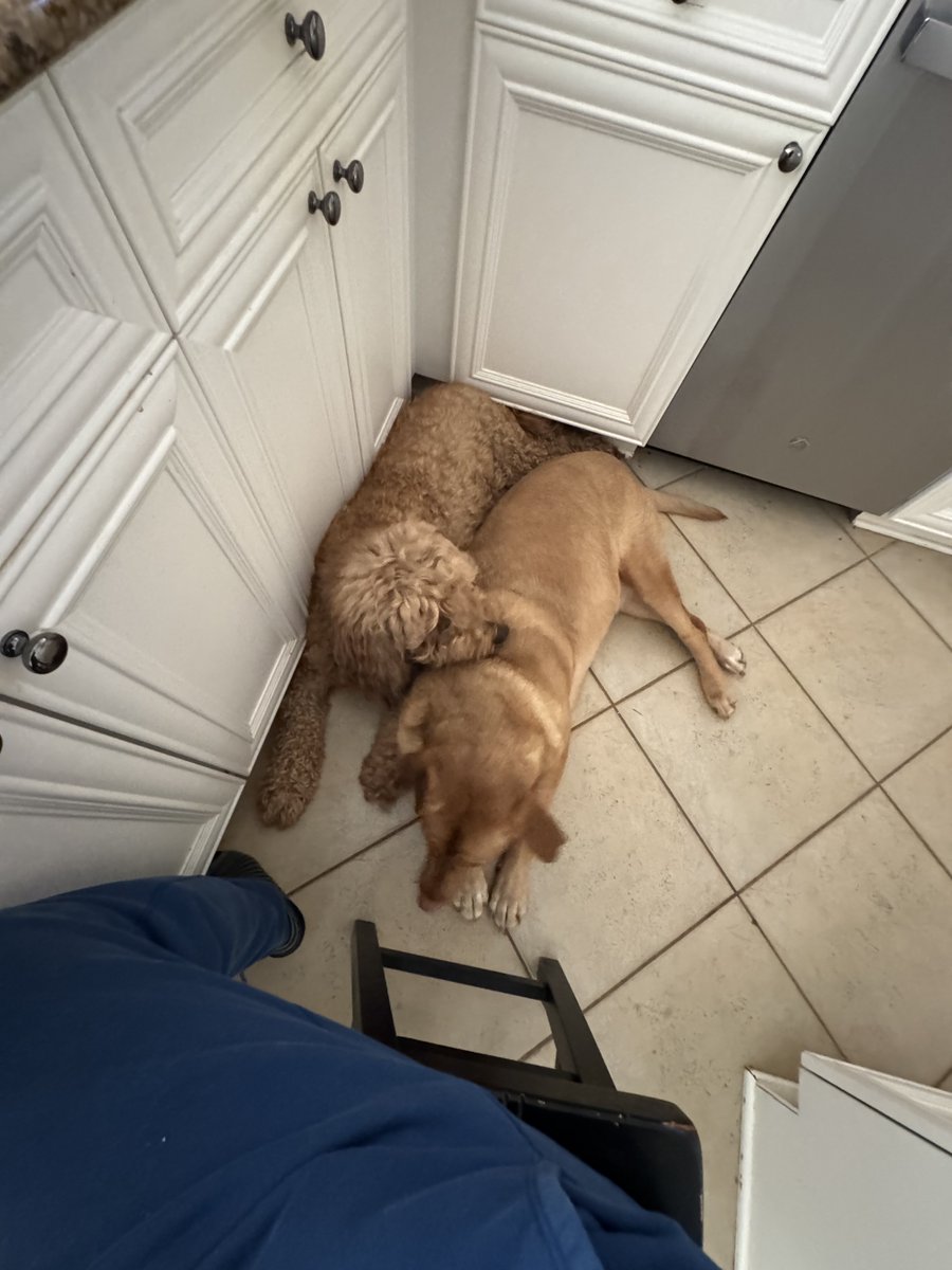 As the New Year begins, remember a true friend is the best asset you can ever acquire, so don’t forget to invest wisely in those too.