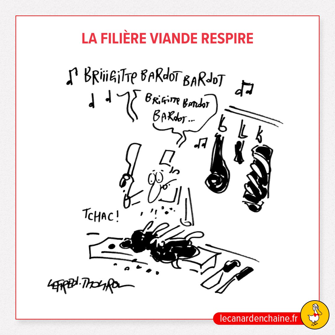 Le Canard enchaîné tweet media