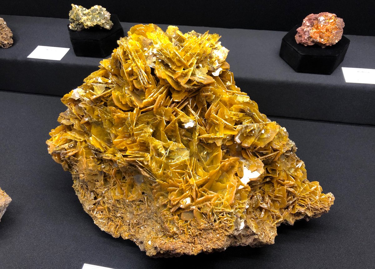 Happy New Year from the museum! Best wishes for an amazing 2026 to all of our friends and supporters.

Pictured: Wulfenite from the Glove Mine, Santa Cruz Co., AZ.