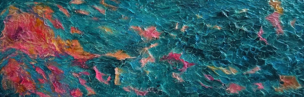 AmicsMdA tweet media