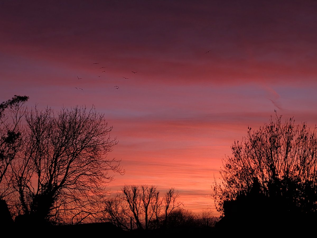 cozycase's tweet image. holy shit the first sunset of 2026 was even better