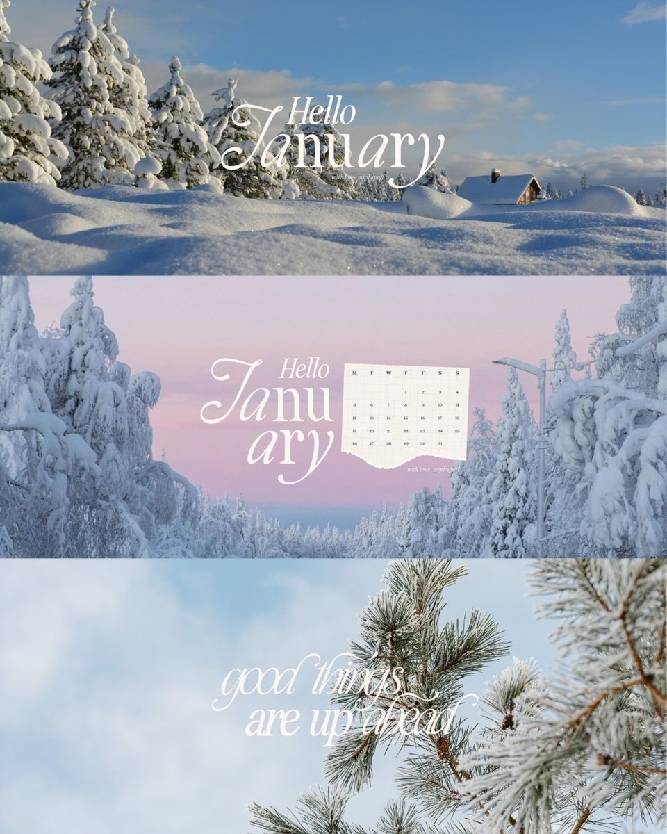 mipha 🦋 tweet media