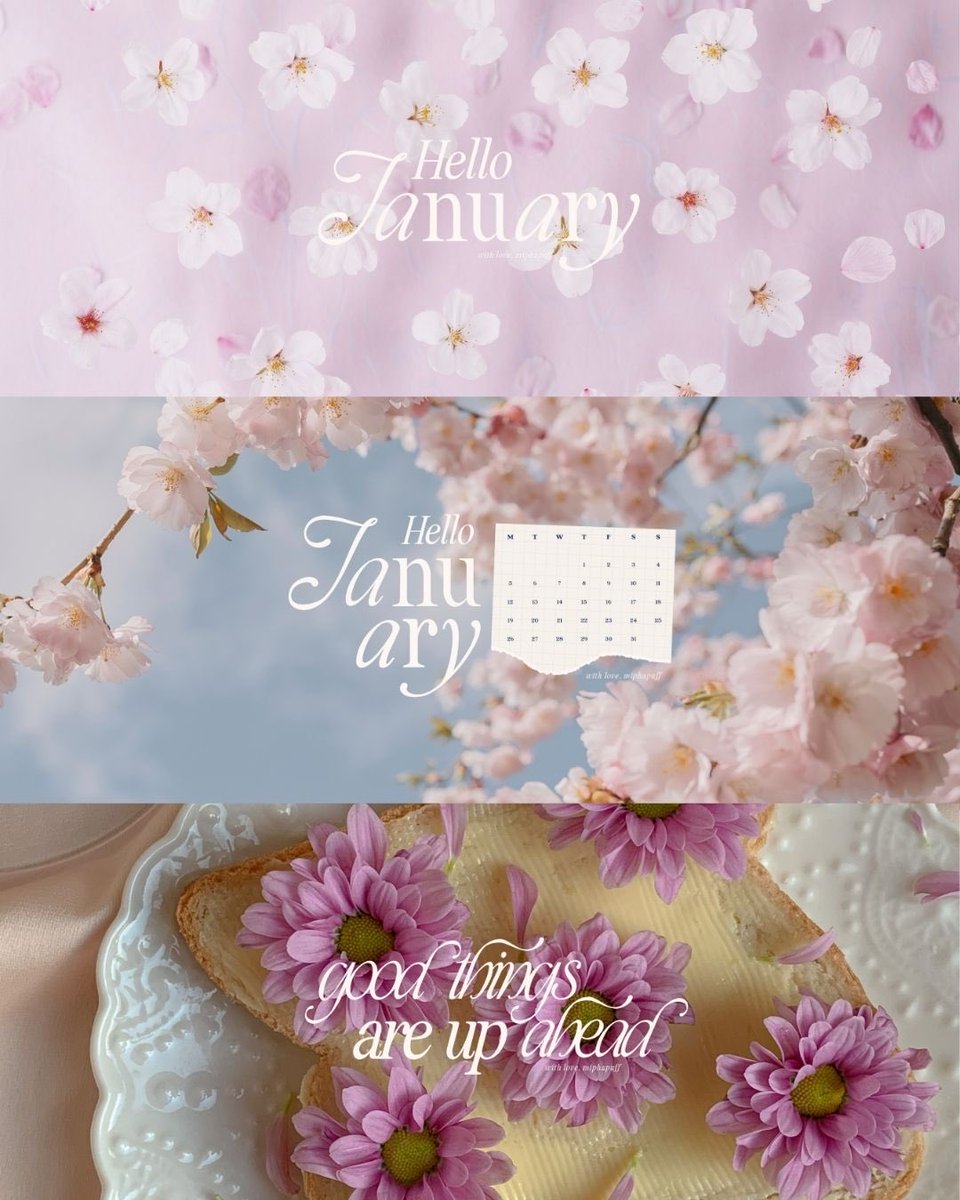 mipha 🦋 tweet media