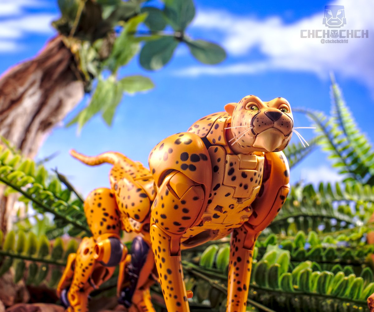 Is there any reason to post #Transformers content on this joke of a site anymore?

Here, have a beautiful new photo to ignore