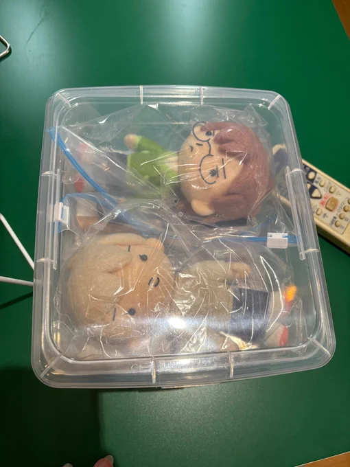 こんな感じで収納してるのですが、コールドスリープっぽくてかわいいです