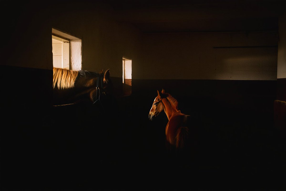 Stablehold tweet media