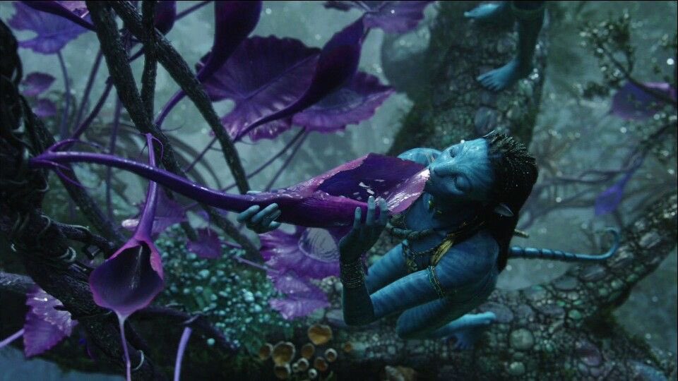 endur3nsurvive's tweet image. going into 2026 with the same obsession from 2009