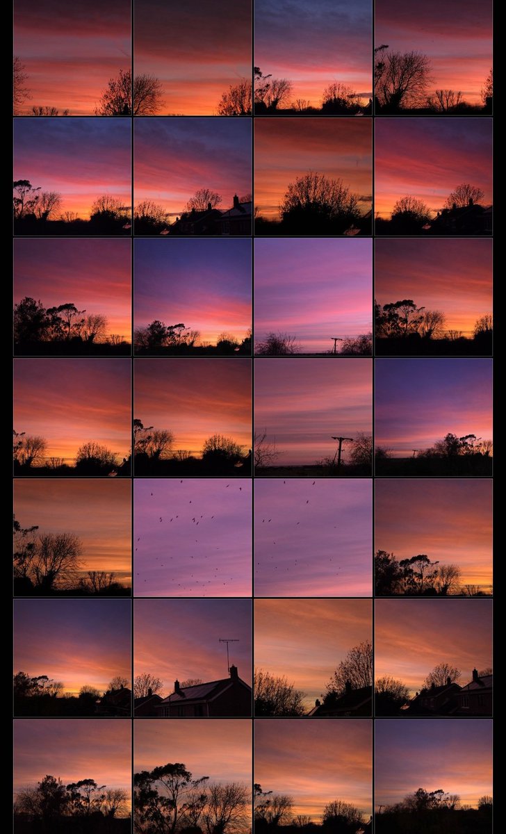 cozycase's tweet image. well at least i got the 512gb storage phone