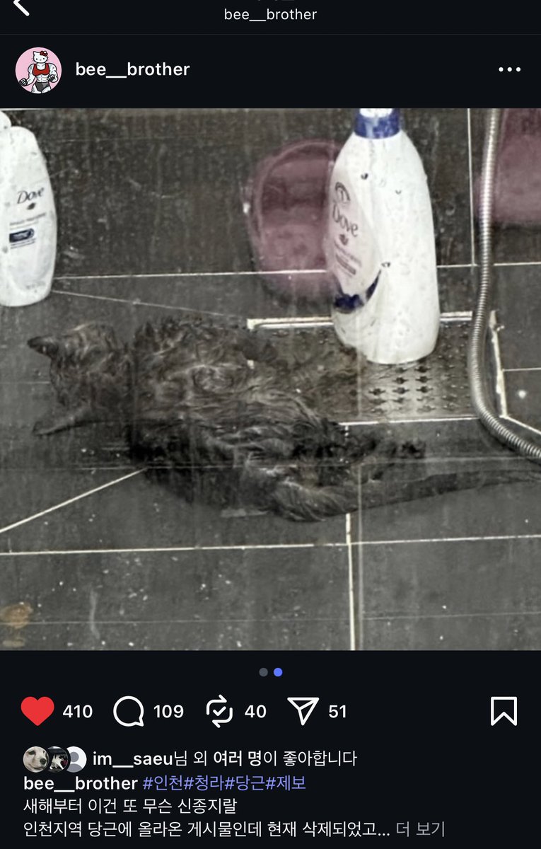 instagram.com/p/DS-XFxaEppy/… 러블고양이고 확인 결과 이미 고별로 떠났다고 합니다. 처음 당근에 올라온 글을 확인하고 주민분이 신고해서 경찰이 출동. 사체를 확인했다고합니다. 이새끼 정상이 아닙니다.수사해야되는거 아닙니까?지가 저렇게 만들어놓고 병원도안가고 고양이 죽여서 산에다가묻어달라니