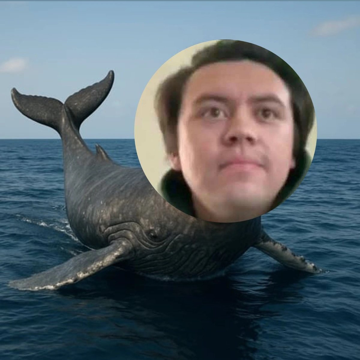 RMargayani's tweet photo. @LaunchOnBags $WHALEFINN + WHALE FINN https://t.co/wbHjROio20