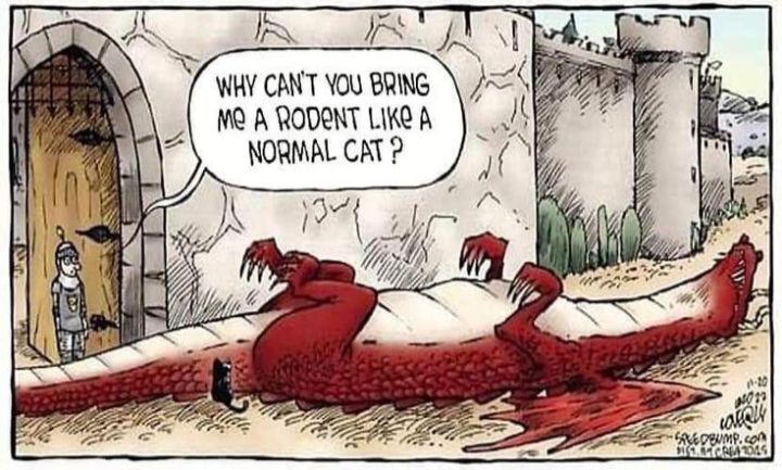 GaryD20 Games tweet media