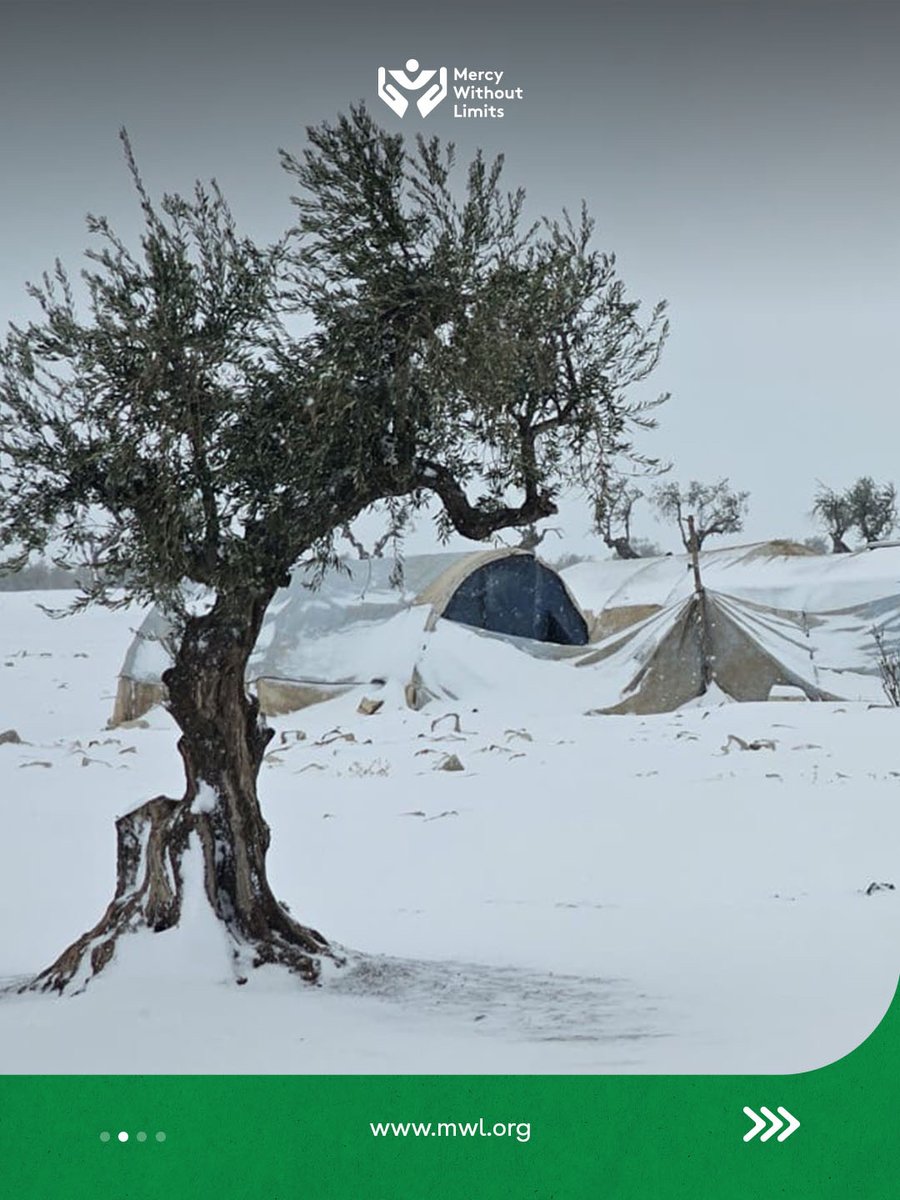 MWlimits's tweet image. Emergency in Al-Tawheed Camp after a severe snowstorm left families without shelter. Help MWL reach those exposed to freezing temps.

mwl.org/program/emerge…

#MWLimits #Syria