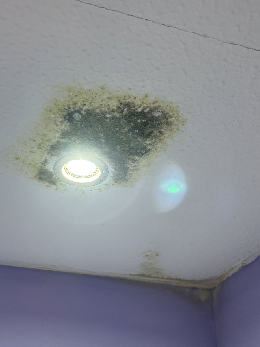 flemingandrew8's tweet photo. @SpeirsGumley what an absolute disgrace you are. Shameful way to operate your so called factor business. Zero action after being reported 6 months  ago. My father in law has significant health respiratory conditions and living like this is an absolute disgrace. https://t.co/naEW58u8qZ