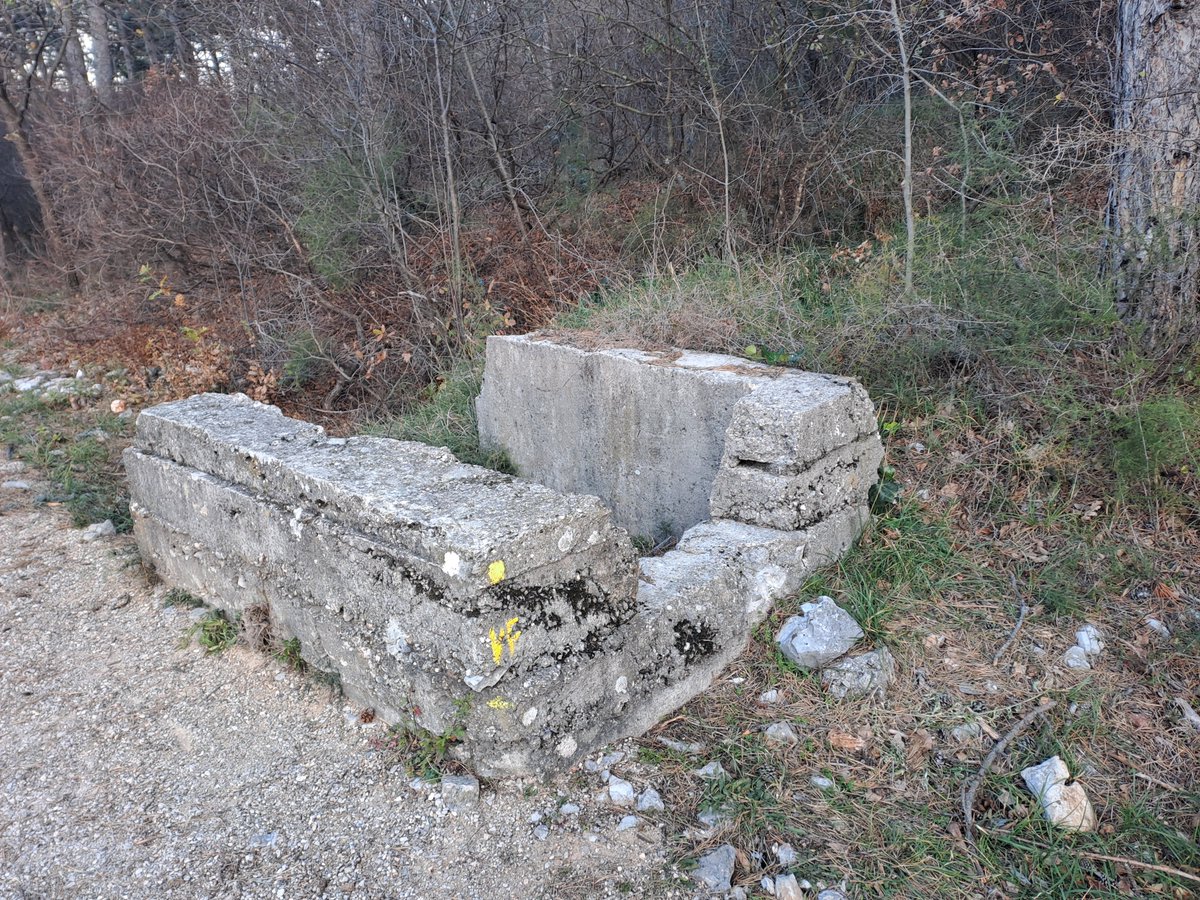 bertoli1966's tweet image. First walk of 2026. Happy New Year to all of you.
Near Quota 85, Monfalcone.