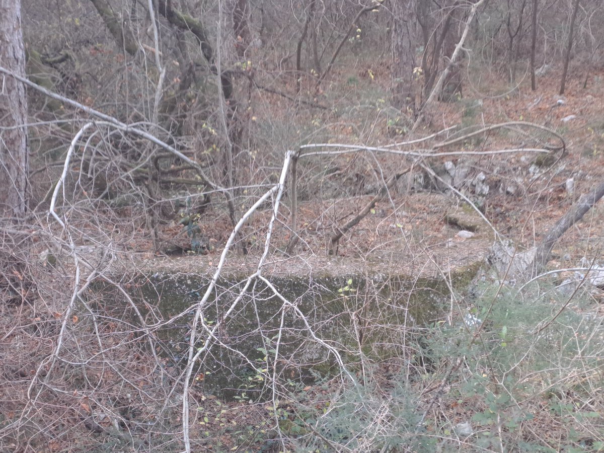 bertoli1966's tweet image. First walk of 2026. Happy New Year to all of you.
Near Quota 85, Monfalcone.