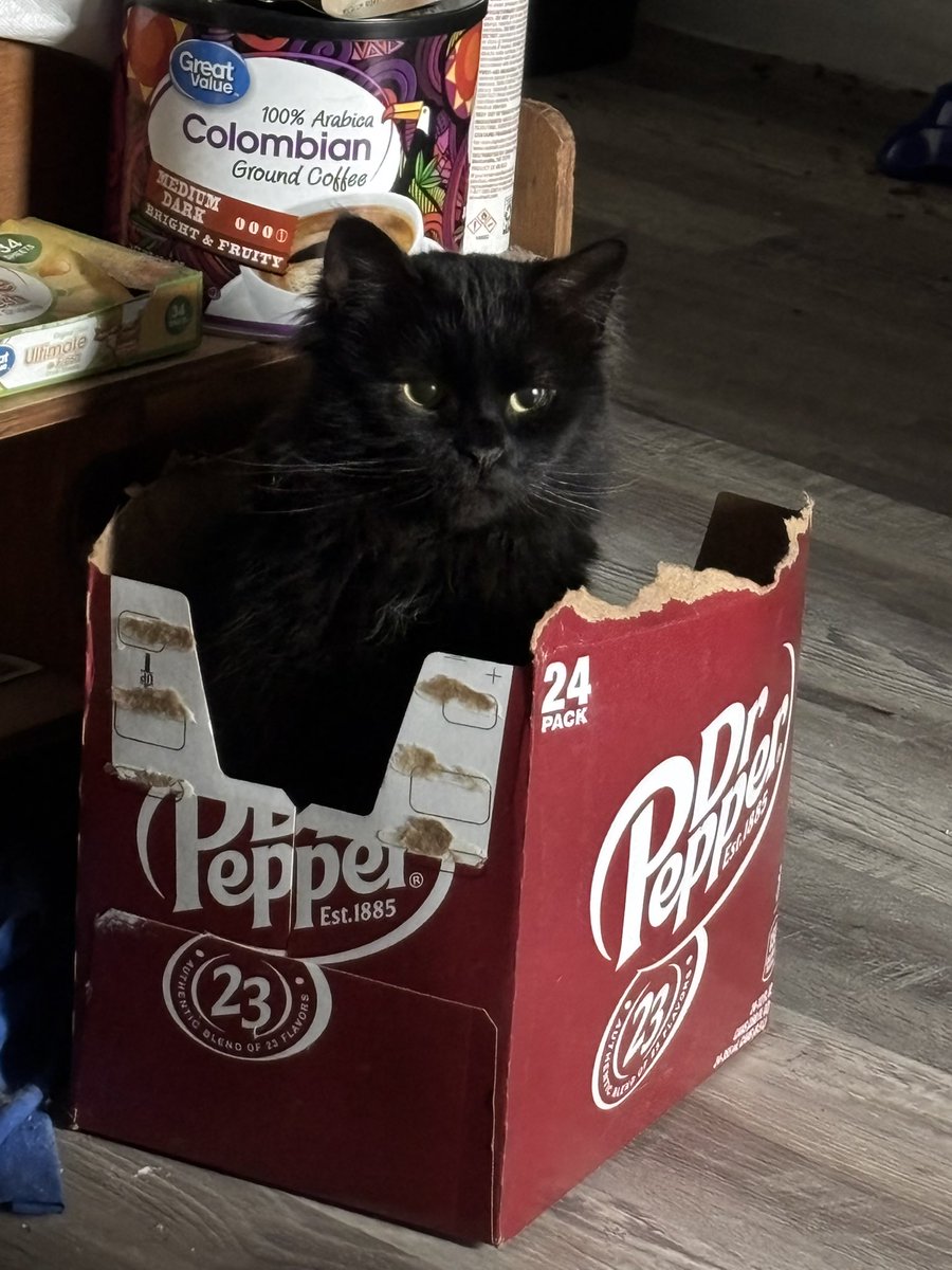 🎃🪩☕️MamaFrimp☕️🪩🎃 tweet media