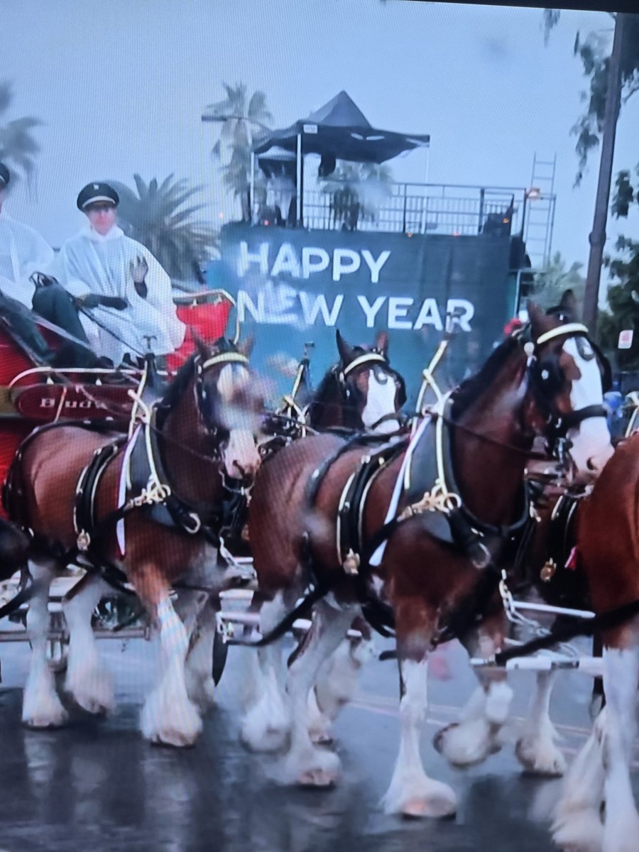 Did you all see us at the Rose Bowl Parade?!

We know <a href="/hodakotb/">Hoda Kotb</a>  and <a href="/alroker/">Al Roker</a> did! They shared some great facts about us!

We hope you all have a safe and wonderful New Year!