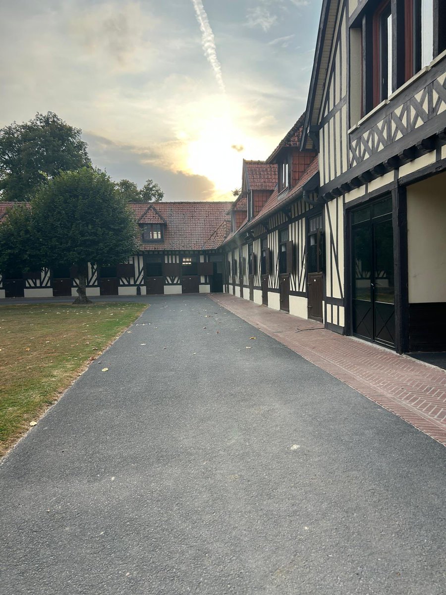 The Racing Manager tweet media