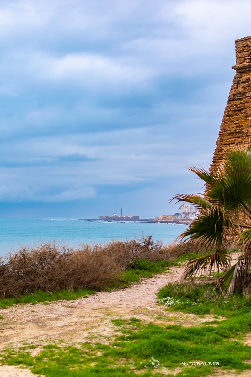 antocoleta67's tweet image. Así es Cádiz desde mi objetivo. 📸📸📸🌅🌅🌅♐️