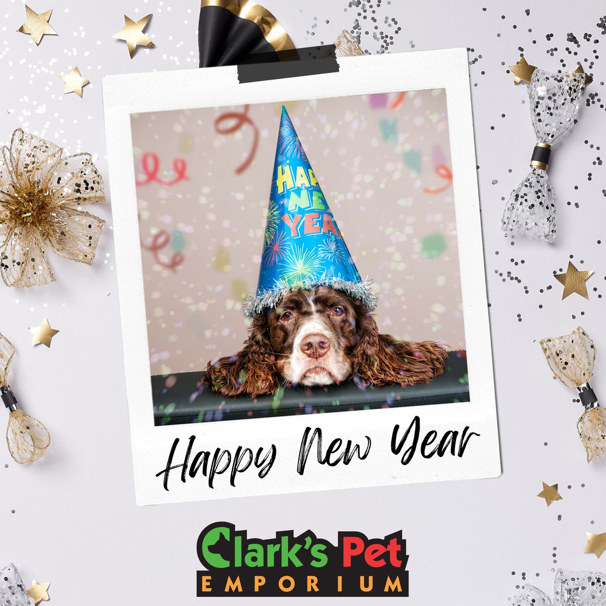 🎊 🐾 Hello, New Year! New routines, new adventures, and more moments with the pets we love. Clark’s Pet Emporium is your place for everything your pets need to thrive in the year ahead. Cheers to a happy, healthy 2026! 🐶🐦🐠

#ClarksPets #abqpets #newyear