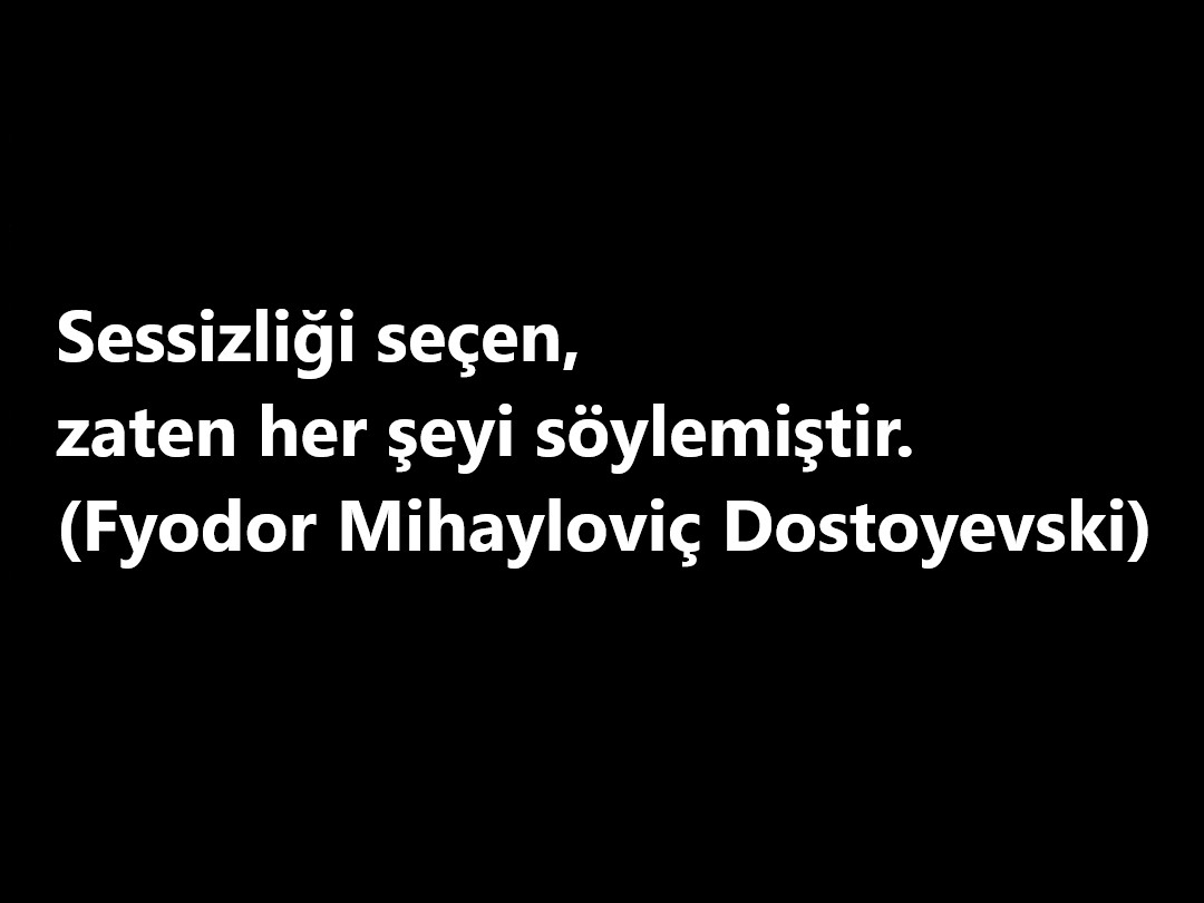 TuruncuOda tweet media