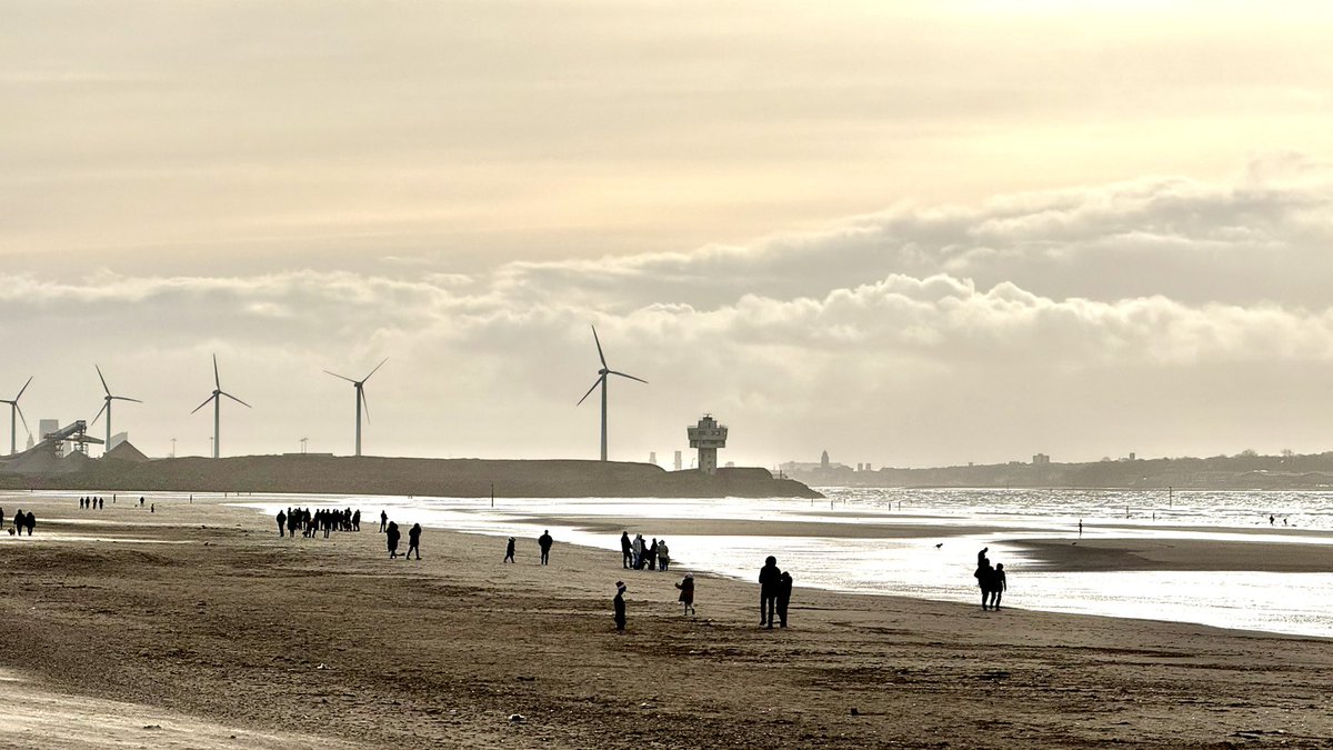 Ron Davies (also on BlueSky) tweet media