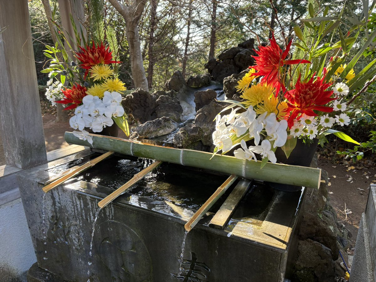 大宮神社に初詣🙏手水舎がシンプルにめでたい感じでとっても素敵でした🐻
おみくじは小吉、まだまだ今年も伸び代があるようですね😊
#神社 #ぬい撮り #ぬいぐるみ